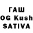 Псилоцибиновые грибы Cubensis Juin Kai