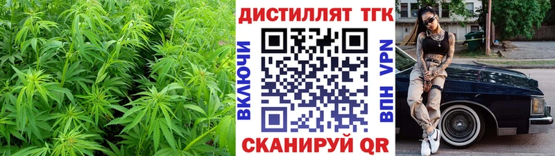 дарк нет наркотические препараты Рошаль ТГК THC oil где купить наркоту