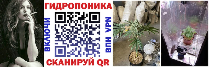 Канабис сатива  Рошаль 